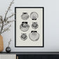 Types of scallops-Artwork-Nacnic-Nacnic Estudio SL