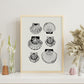 Types of scallops-Artwork-Nacnic-Nacnic Estudio SL