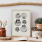 Types of scallops-Artwork-Nacnic-Nacnic Estudio SL