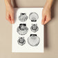 Types of scallops-Artwork-Nacnic-Nacnic Estudio SL