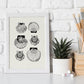 Types of scallops-Artwork-Nacnic-Nacnic Estudio SL