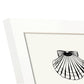 Types of scallops-Artwork-Nacnic-Nacnic Estudio SL