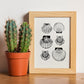 Types of scallops-Artwork-Nacnic-Nacnic Estudio SL