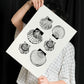 Types of scallops-Artwork-Nacnic-Nacnic Estudio SL