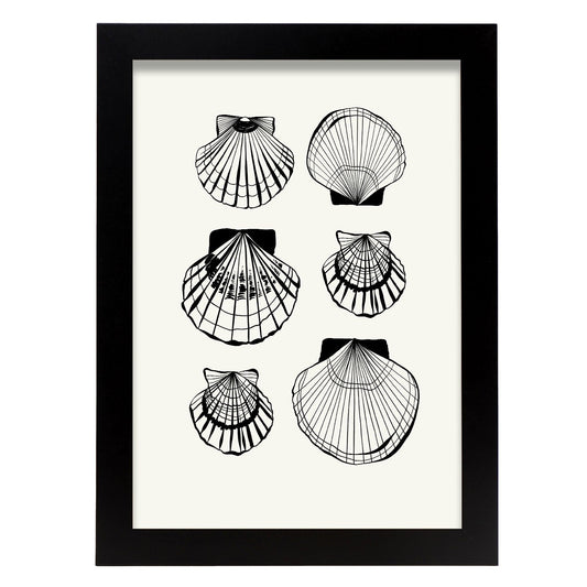 Types of scallops-Artwork-Nacnic-A4-Sin marco-Nacnic Estudio SL