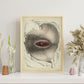Urogenital system, female; perineum-Artwork-Nacnic-Nacnic Estudio SL