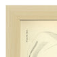 Urogenital system, female; perineum-Artwork-Nacnic-Nacnic Estudio SL
