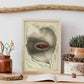 Urogenital system, female; perineum-Artwork-Nacnic-Nacnic Estudio SL