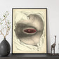 Urogenital system, female; perineum-Artwork-Nacnic-Nacnic Estudio SL