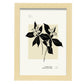 Violet-Artwork-Nacnic-A4-Marco Madera clara-Nacnic Estudio SL