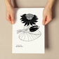 Water Lily-Artwork-Nacnic-Nacnic Estudio SL