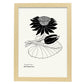 Water Lily-Artwork-Nacnic-A3-Marco Madera clara-Nacnic Estudio SL