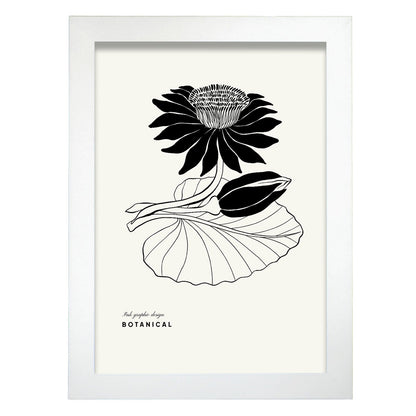 Water Lily-Artwork-Nacnic-A4-Marco Blanco-Nacnic Estudio SL