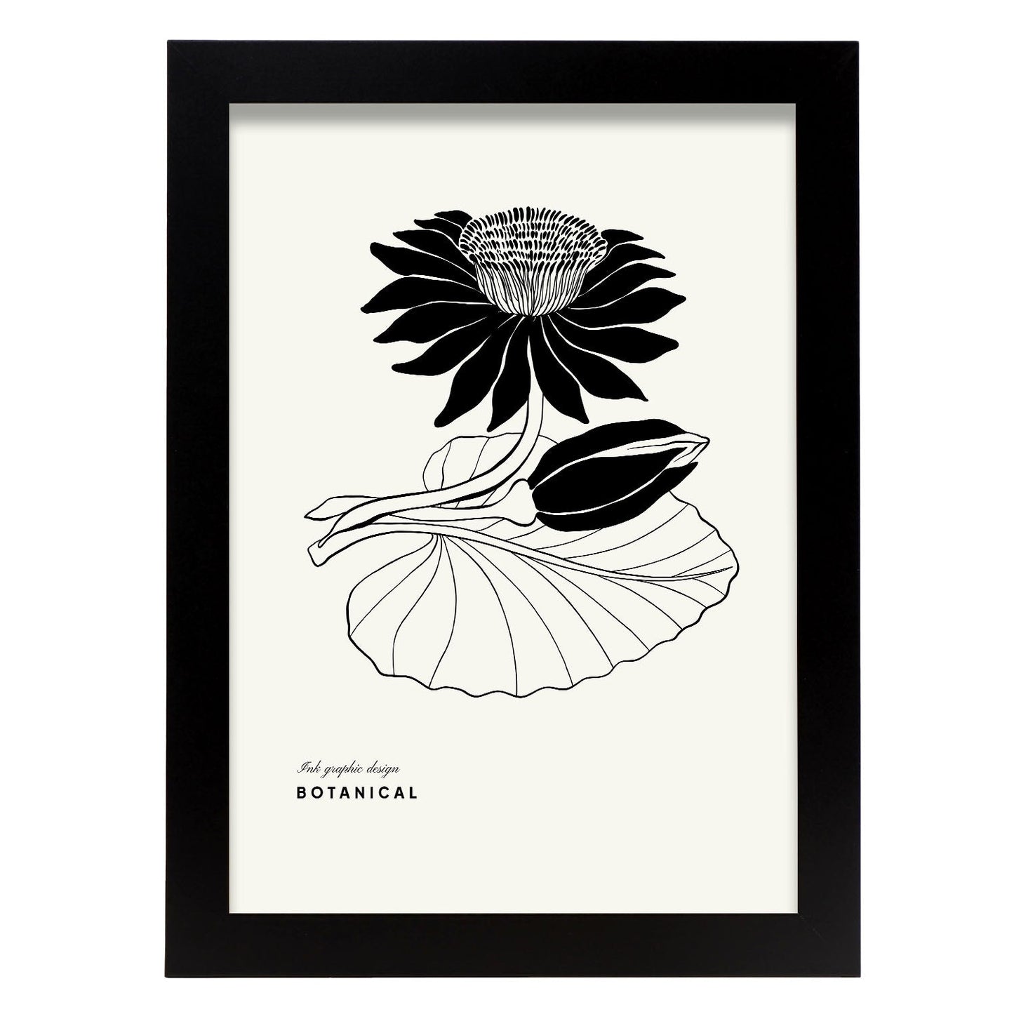 Water Lily-Artwork-Nacnic-A4-Sin marco-Nacnic Estudio SL