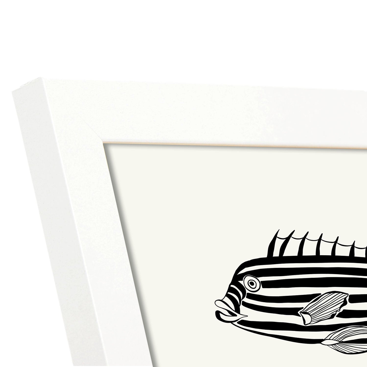 Zebrafish-Artwork-Nacnic-Nacnic Estudio SL