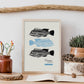 Zebrafish-Artwork-Nacnic-Nacnic Estudio SL