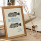 Zebrafish-Artwork-Nacnic-Nacnic Estudio SL
