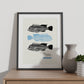 Zebrafish-Artwork-Nacnic-Nacnic Estudio SL