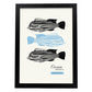 Zebrafish-Artwork-Nacnic-A3-Sin marco-Nacnic Estudio SL