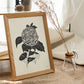 Zinnia-Artwork-Nacnic-Nacnic Estudio SL
