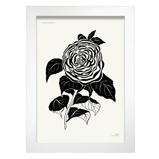 Zinnia-Artwork-Nacnic-A4-Marco Blanco-Nacnic Estudio SL