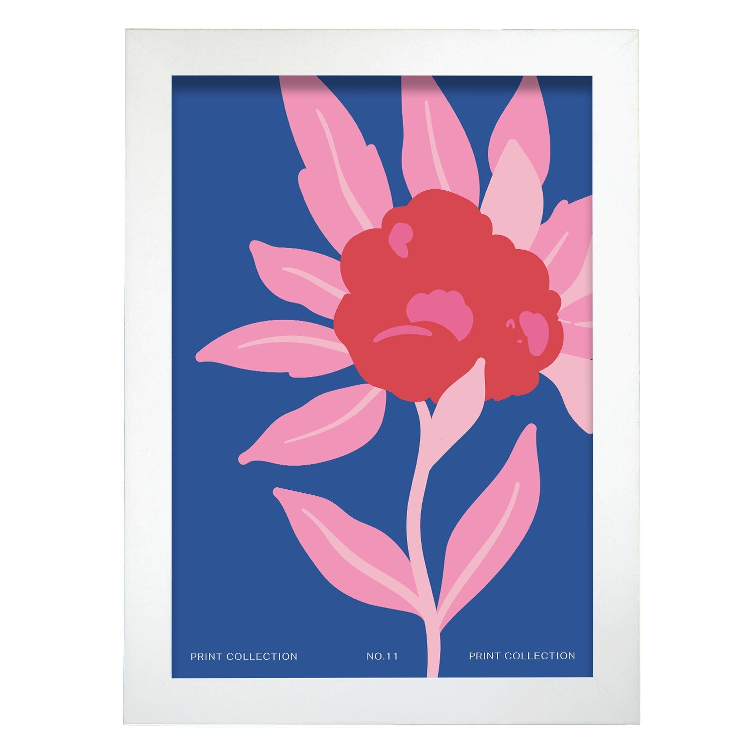 Zinnia Flower-Artwork-Nacnic-A4-Marco Blanco-Nacnic Estudio SL