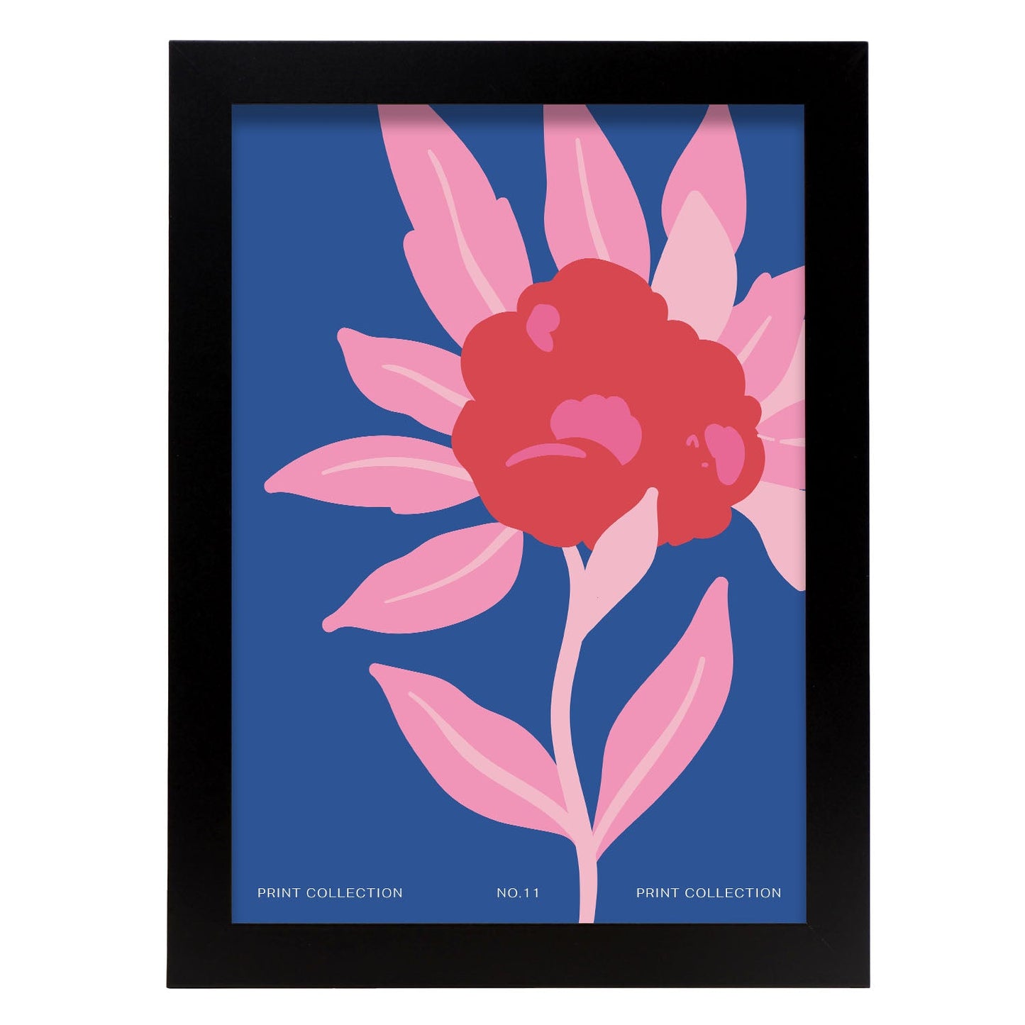 Zinnia Flower-Artwork-Nacnic-A4-Sin marco-Nacnic Estudio SL