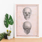 Paillou Skull-Artwork-Nacnic-Nacnic Estudio SL