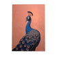 Nacnic Lámina de Pavo Real Deslumbrante