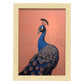 Nacnic Lámina de Pavo Real Deslumbrante