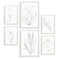 Nacnic Set de 6 Láminas Abstractas de Flores Agradables