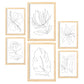 Nacnic Set de 6 Láminas Abstractas de Flores Estéticas