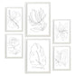Nacnic Set de 6 Láminas Abstractas de Flores Estéticas