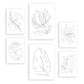 Nacnic Set de 6 Láminas Abstractas de Flores Estéticas