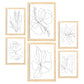 Nacnic Set de 6 Láminas Abstractas de Flores