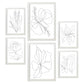 Nacnic Set de 6 Láminas Abstractas de Flores