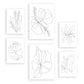 Nacnic Set de 6 Láminas Abstractas de Flores