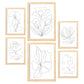 Nacnic Set de 6 Láminas Abstractas de Flores