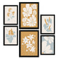 Conjunto Nacnic de 6 Láminas Abstractas de Flores