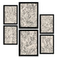Nacnic Set de 6 Láminas Abstractas de Flores con Volantes