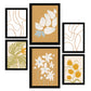 Conjunto Nacnic de 6 Láminas de Flores Abstractas