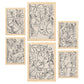 Nacnic Set de 6 Láminas Abstractas de Flores con Volantes