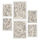 Nacnic Set de 6 Láminas Abstractas de Flores con Volantes