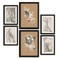 Nacnic Set de 6 Láminas de Artesanía en Abstracto Femenino