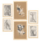 Nacnic Set de 6 Láminas de Artesanía en Abstracto Femenino