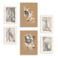 Nacnic Set de 6 Láminas de Artesanía en Abstracto Femenino