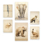 Conjunto de 6 Láminas Vintage de Animales Nacnic