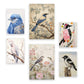 Nacnic Set de 6 Láminas de Ilustraciones de Pájaros