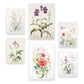 Nacnic Set de 6 Láminas de Orquídeas y Clavel