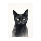 Lamina Nacnic de Gato Negro para Guardería y Hogar